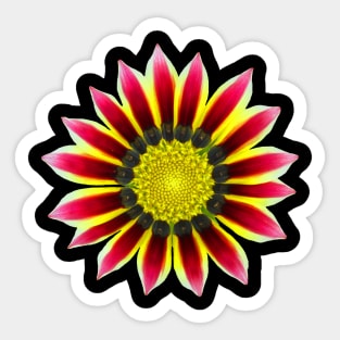 red pink flower, blossom, nature, blooming Sticker